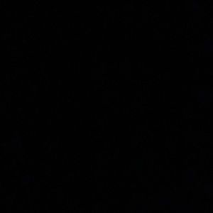 Meet your Posher, Damonte